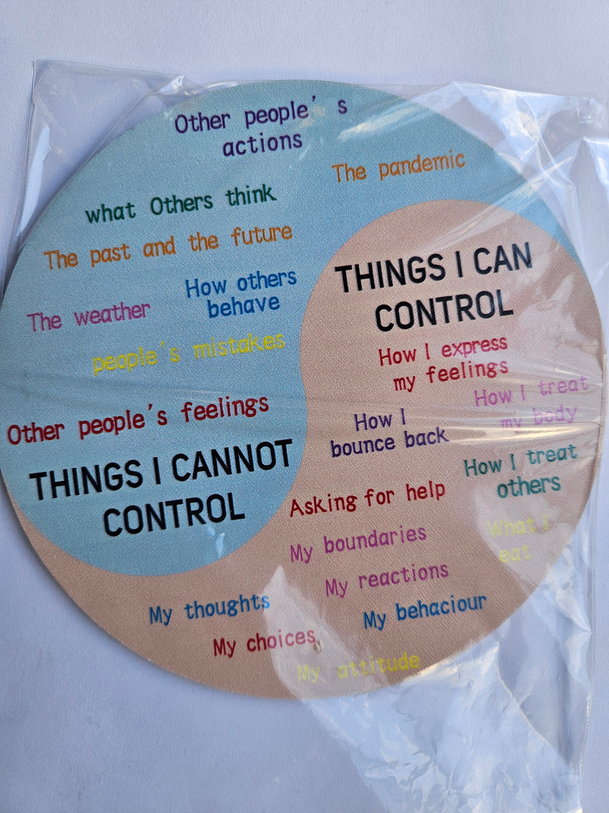 Kinesiology Energy Wheel Positive Mental Health Wellbeing on stand