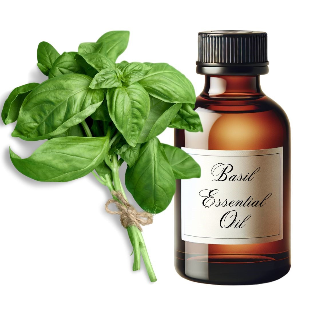 Basil Essential Oil