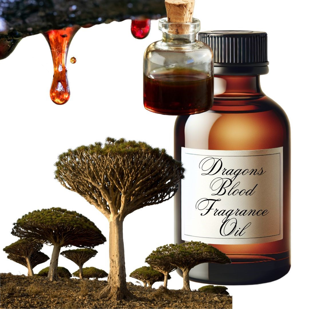 Dragons Blood Fragrant Oil RBB Style