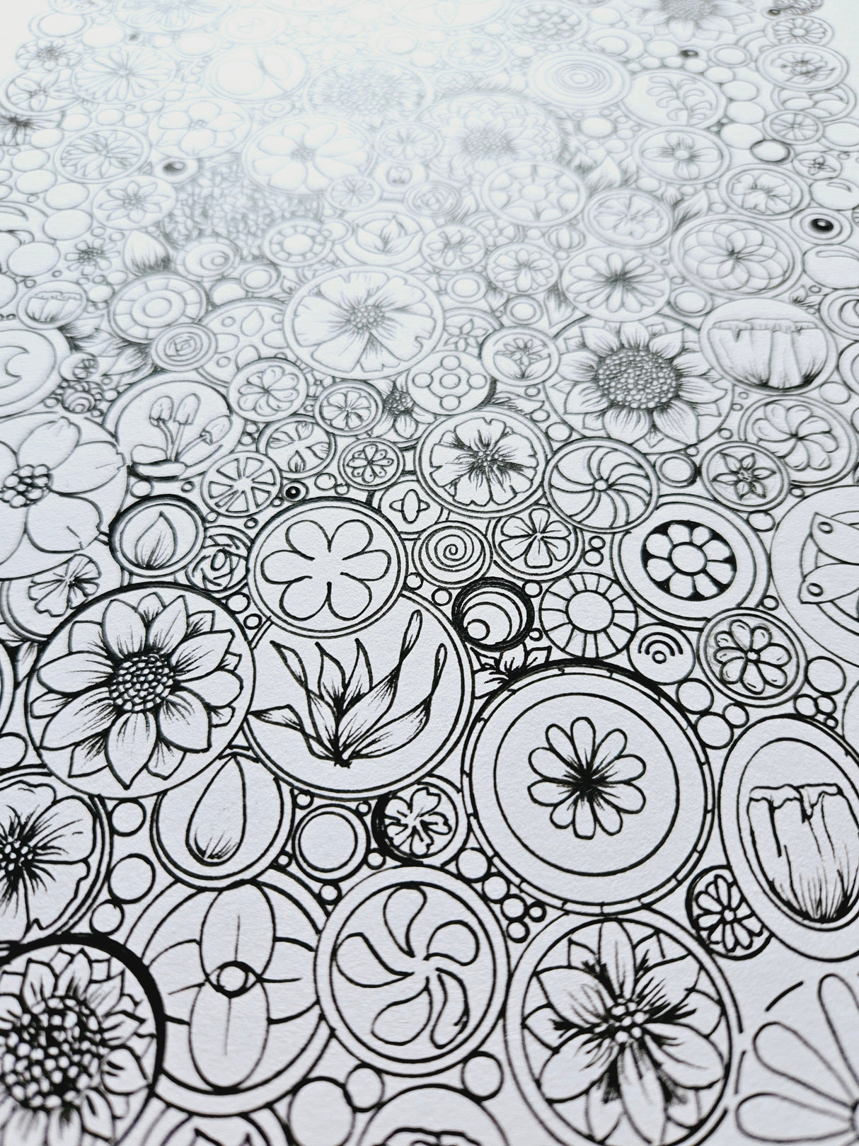FREE Download Colouring Page ENDLESS FLORALS - Lesley Mitchell