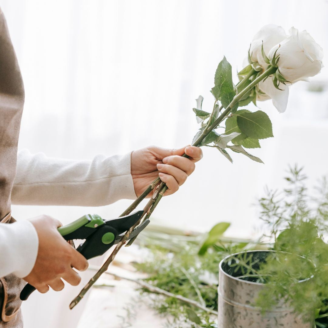 Florist Clear Sleeves - Clear Cello Sleeve V Shape