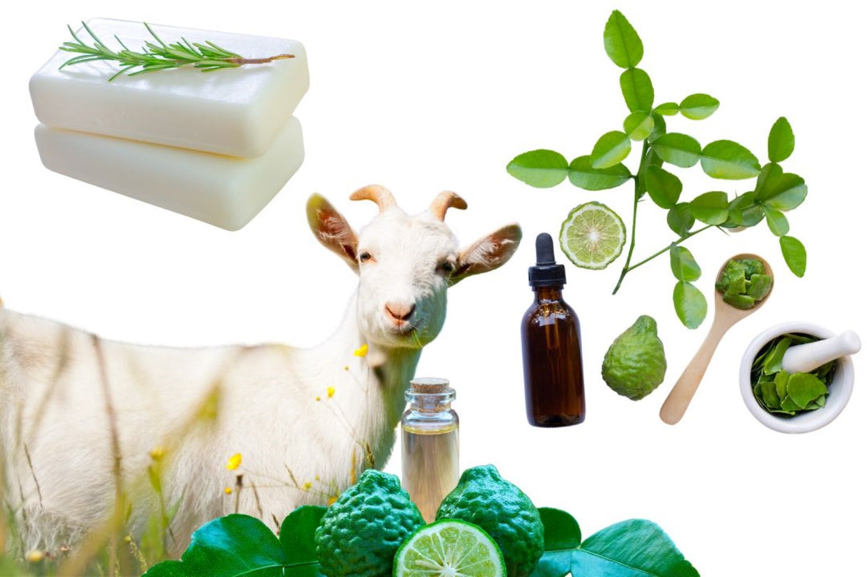 Goats Milk Sweet Lime Soap Cleansing Bar (WS Available)