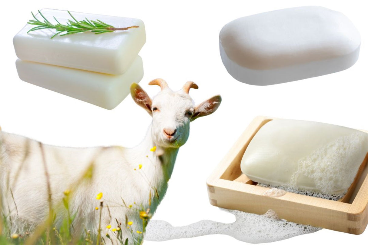 Goats Milk Sweet Lime Soap Cleansing Bar (WS Available)