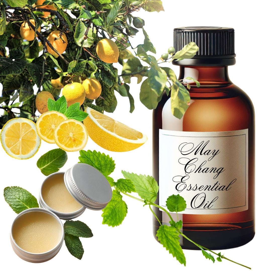 May Chang Essential Oil (Litsea Cubeba)