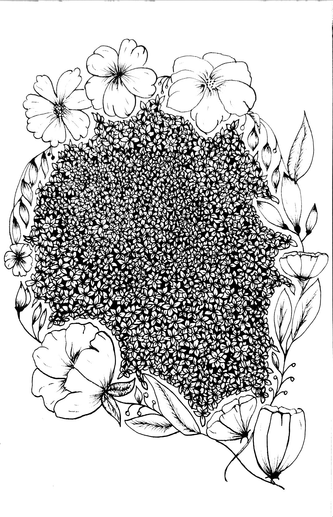 FREE Download Colouring Page NATURE MYSTERY - Lesley Mitchell