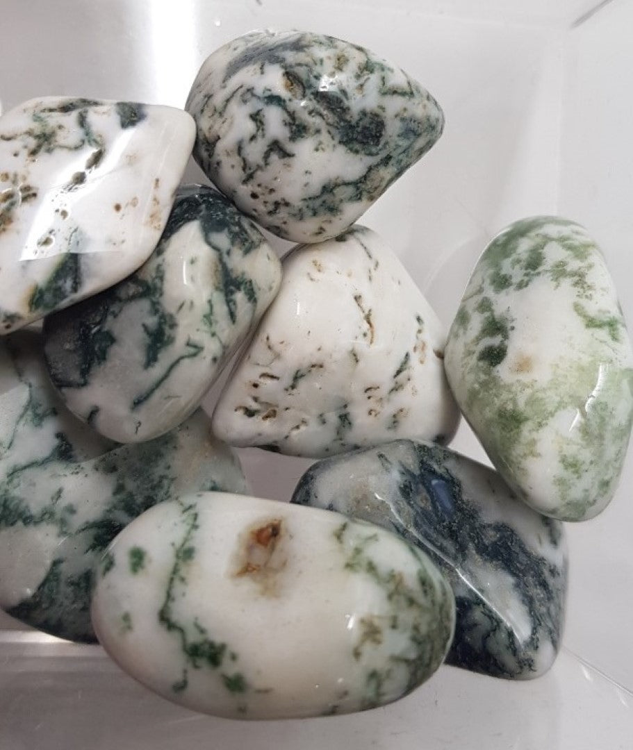 Agate GREEN TREE Tumbled Gemstone Specimen