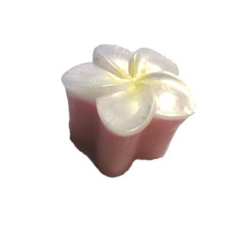 Frangipani Silicone Mould