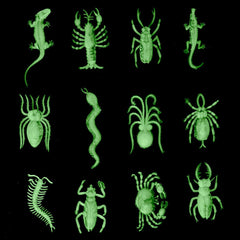 Glow in the dark PLASTIC CRITTERS INSECTS Toys / Embeds