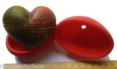 Heart 3D Silicone Mould