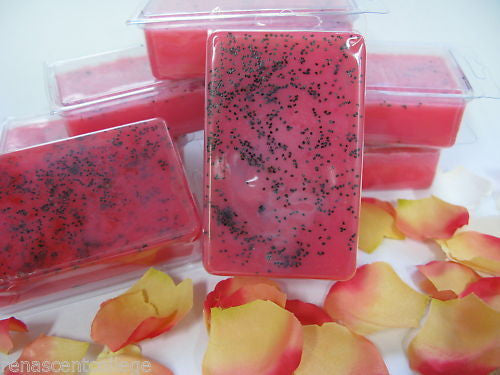 Soap Art Book on Disc for Melt+Pour soaps, recipes, ideas!