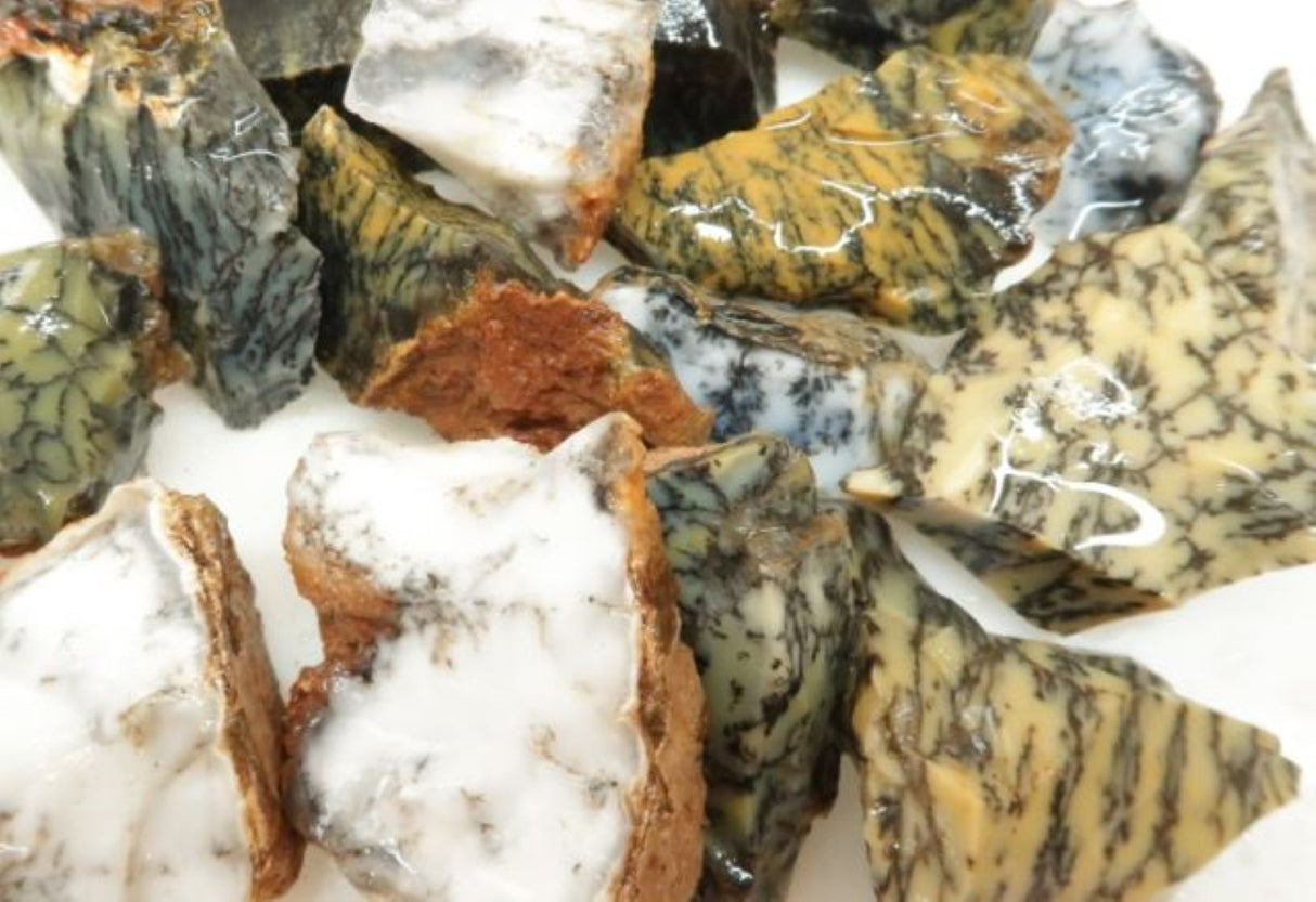 Opalite Dentritic Natural Rough Gemstone Specimen