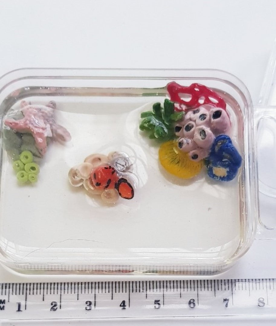 Resin Undersea Diorama