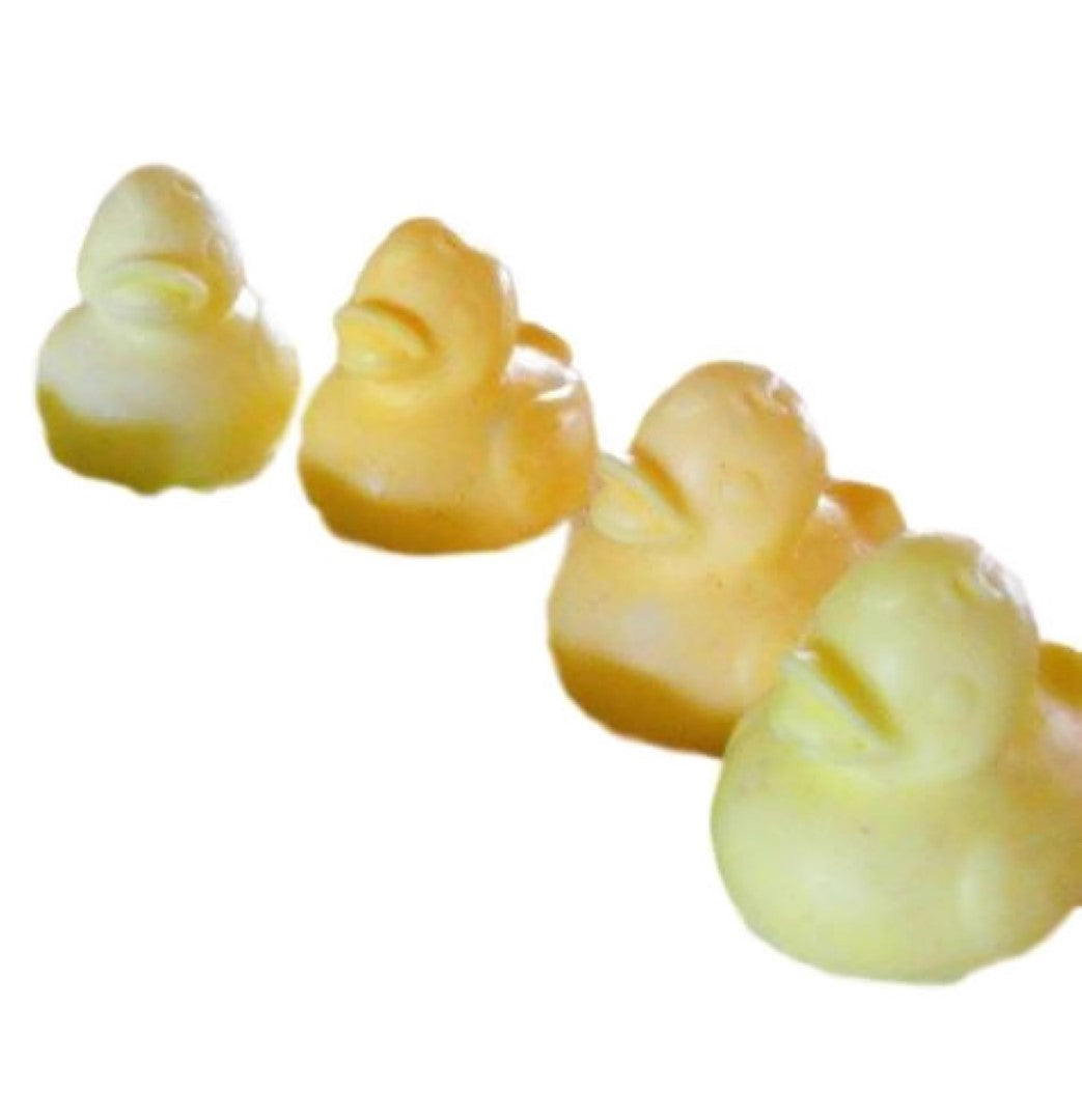 Rubber Duckie Small Silicone Mould