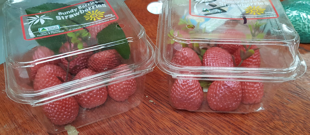 Strawberry Box Guest Soap Bars Realistic Size bar (WS available) Gift Boxed