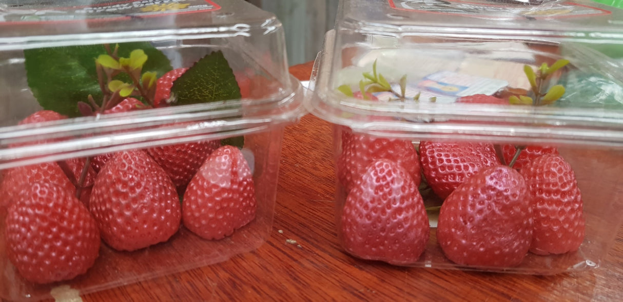 Strawberry Box Guest Soap Bars Realistic Size bar (WS available) Gift Boxed