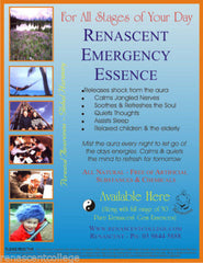 Gem Essence Manual (Paperback) A4 Book