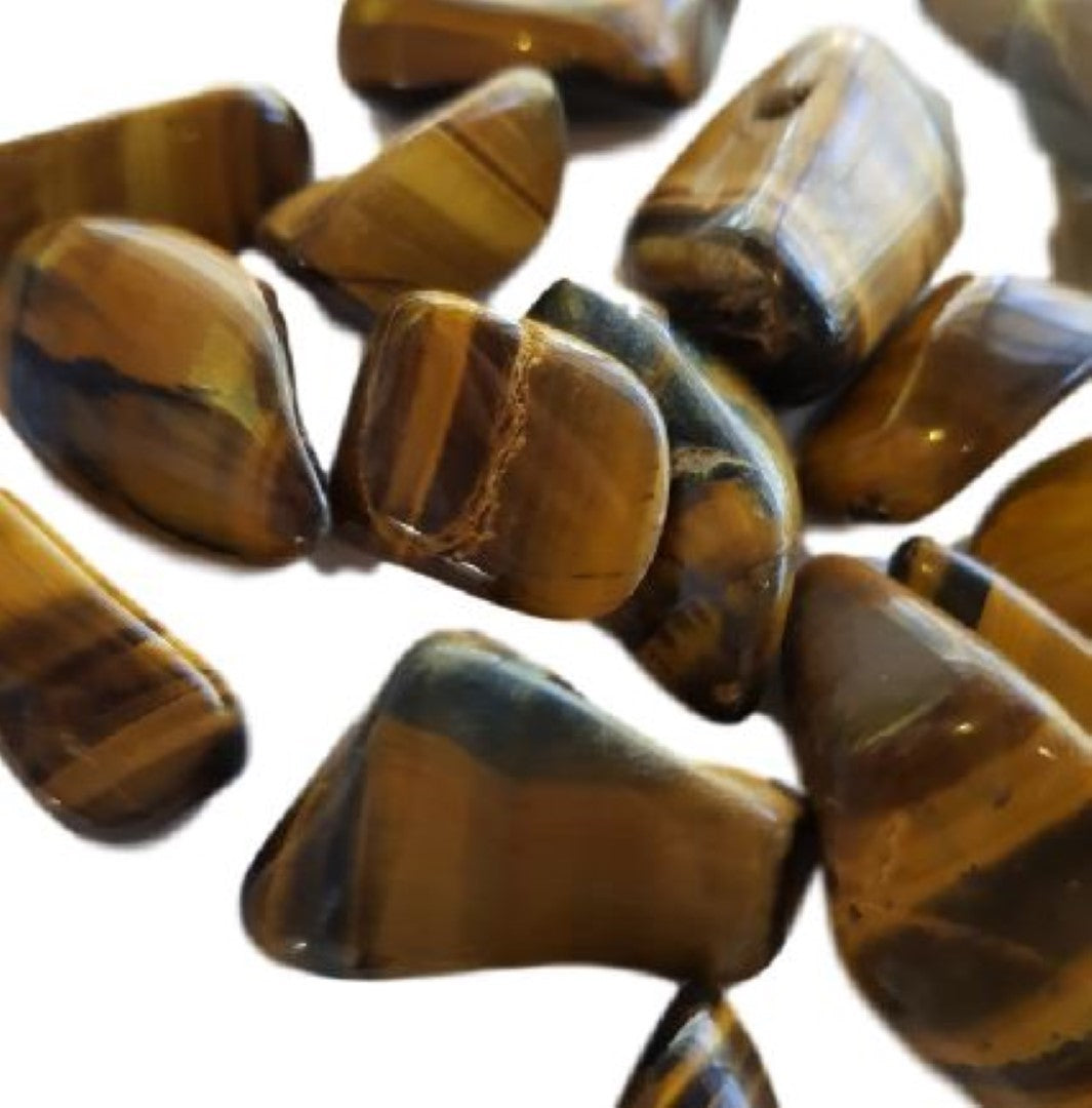 Tiger Eye Individual Pieces: Australian