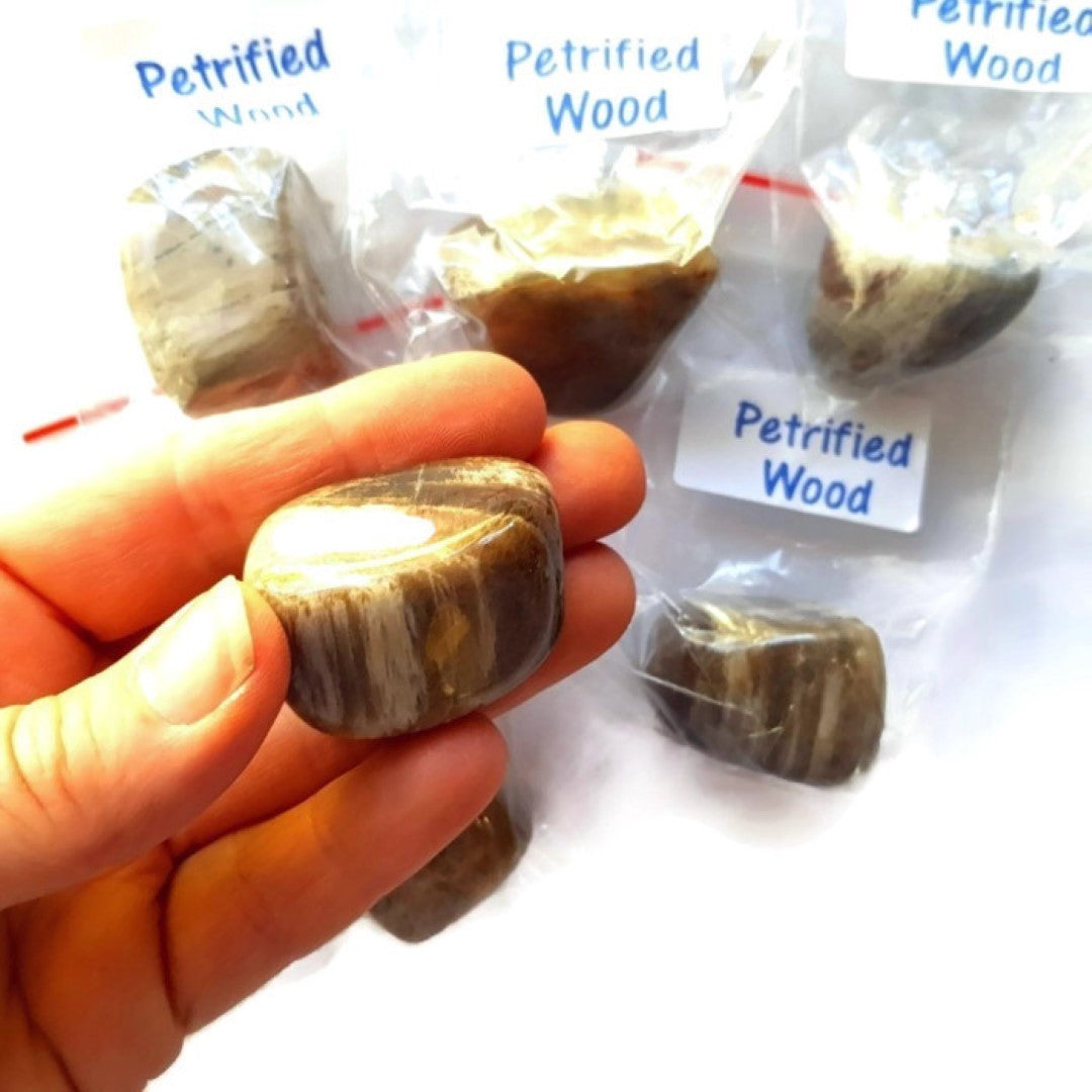 Tumbled GEM STONES x 5 Huge