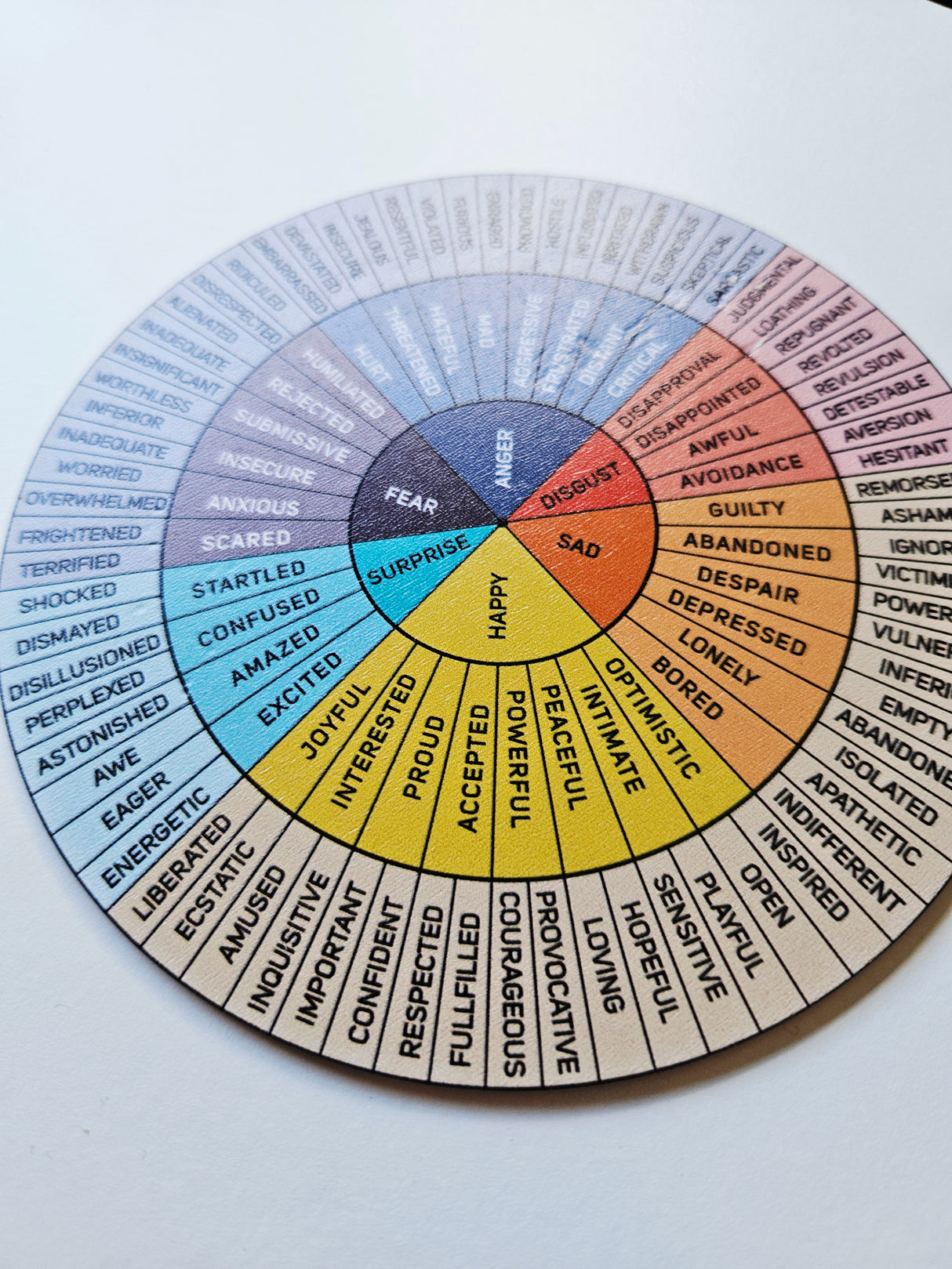 Kinesiology Energy Wheel Positive Mental Health Wellbeing on stand