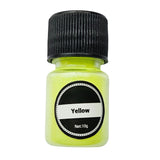 Glow In The Dark Pigment Powder and Glitters