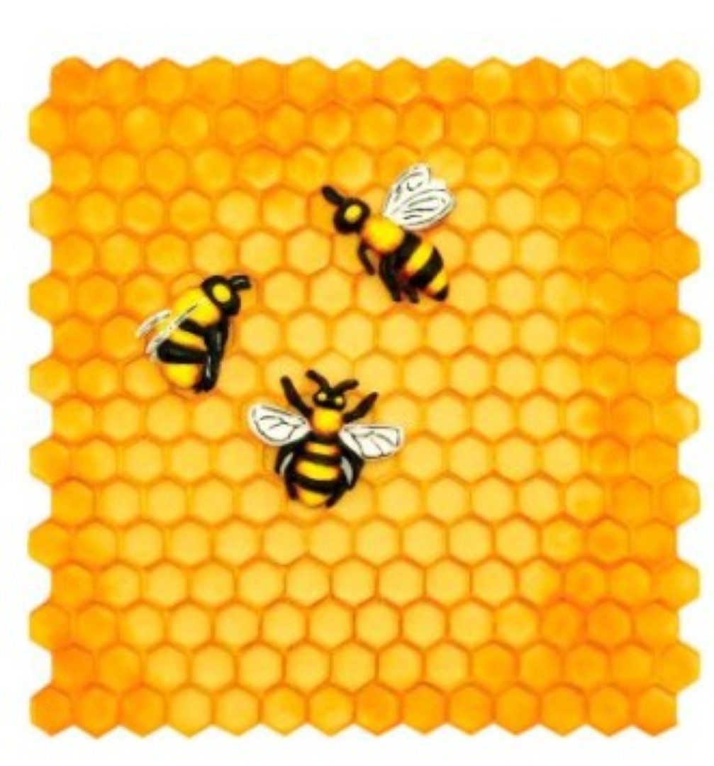 HoneyBee HoneyComb Mat Embed + Bees Silicone Mould
