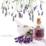 Lavender Natural Flavoured Essence (Water Based)