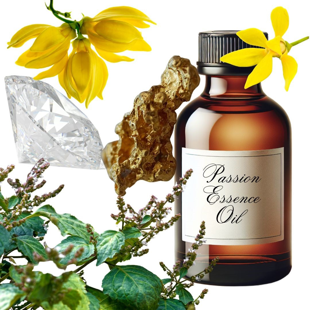 Essence Oil Aromatherapy Kit X 12 (Includes Peace & Blessings Oils)