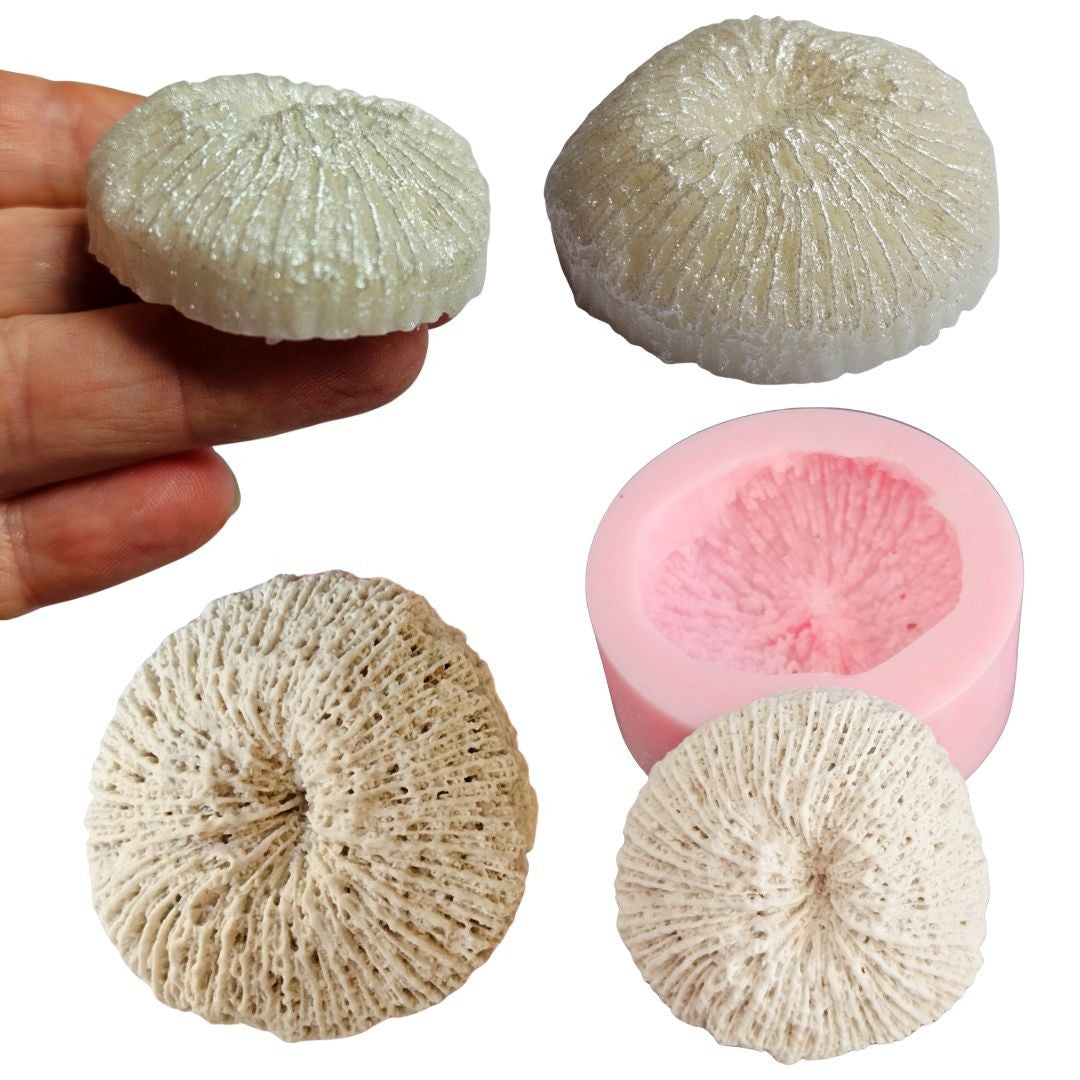 Reef Coral Silicone Mould