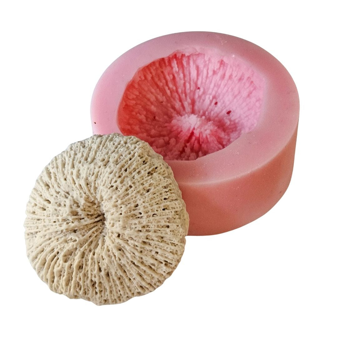 Reef Coral Silicone Mould
