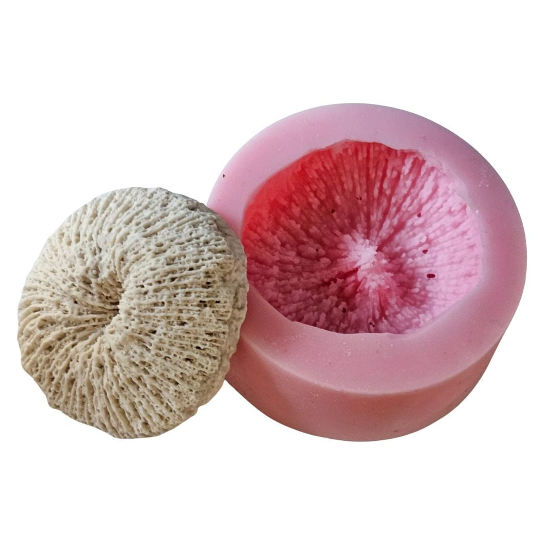 Reef Coral Silicone Mould