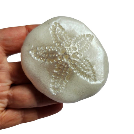 Sand Dollar Silicone Mould Realistic Size