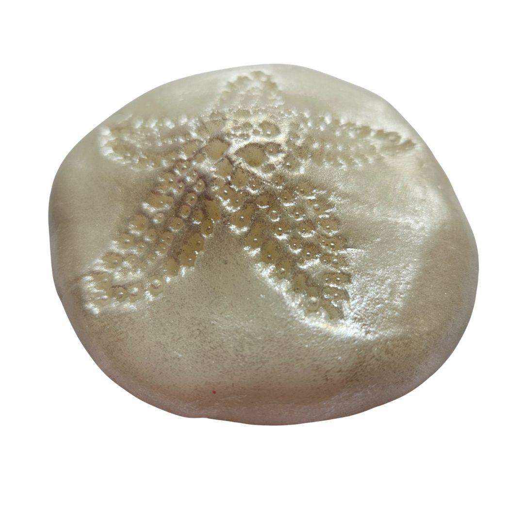 Sand Dollar Silicone Mould Realistic Size