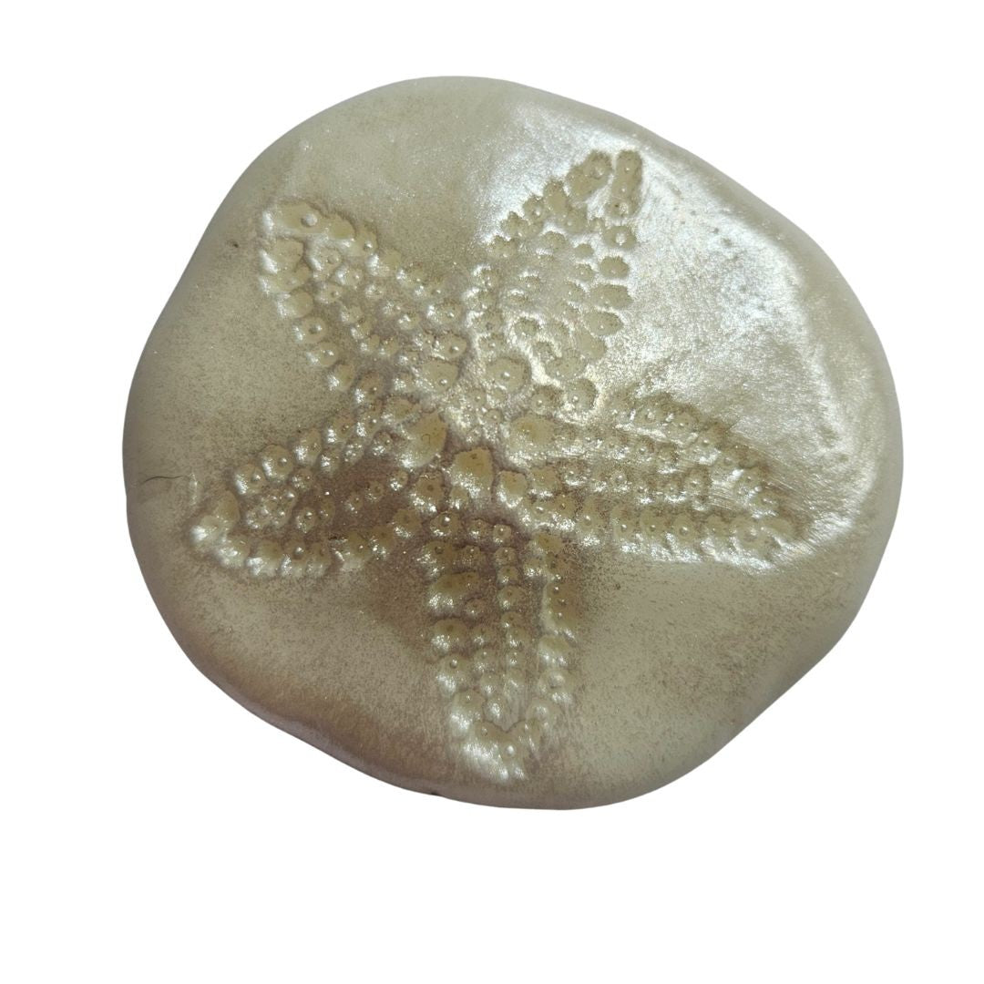 Sand Dollar Silicone Mould Realistic Size