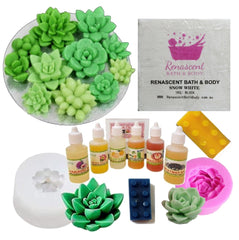 Succulents Melt & Pour Soap Kit - MP Soap Base, Mould, Fragrance, 2 Colour Bricks
