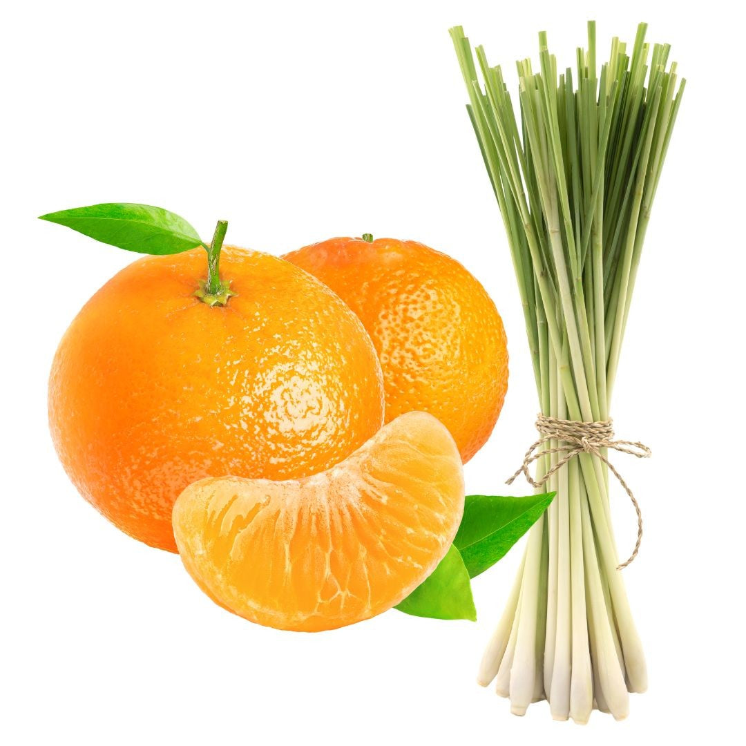 Tangerine & Lemongrass Fragrant Oil