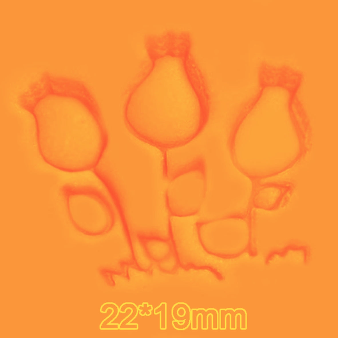 Tulip Triple Soap Stamp High Quality Resin Clean Images Stamping