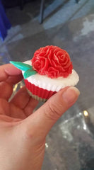 Private Level 1 Soap Instructor Listing - Join us