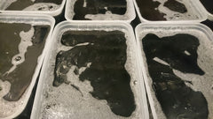 Activated Charcoal Crystal Clear MP Soap Base Palm Free