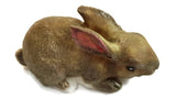 Rabbit Bunny Silicone Mould