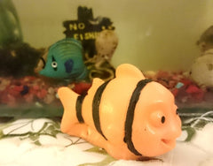 Clownfish Silicone Mould