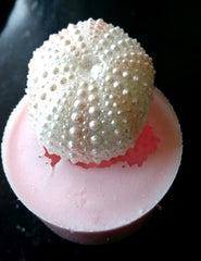 Sea Urchin (Small) Silicone Mould