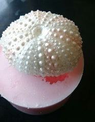 Sea Urchin (Small) Silicone Mould