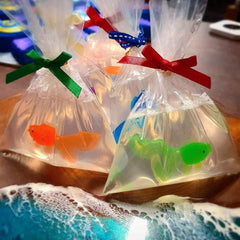 Fish In A Bag DIY Soap Making STARTER Kit