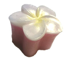 Frangipani Silicone Mould