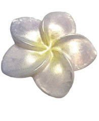 Frangipani Silicone Mould