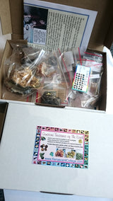 Gemstones of The Earth - Mixed Gemstone Specimens Gift Boxed