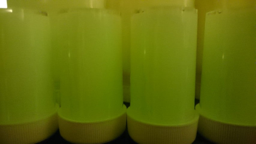Glow In The Dark Paste Soap Paint