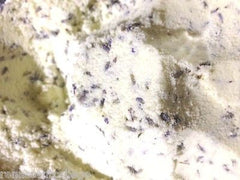 Milk Bath Powder Lavender