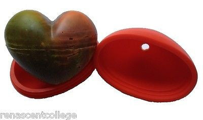 Heart 3D Silicone Mould
