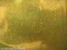 Cosmetic Grade GLITTER 20gm Jar